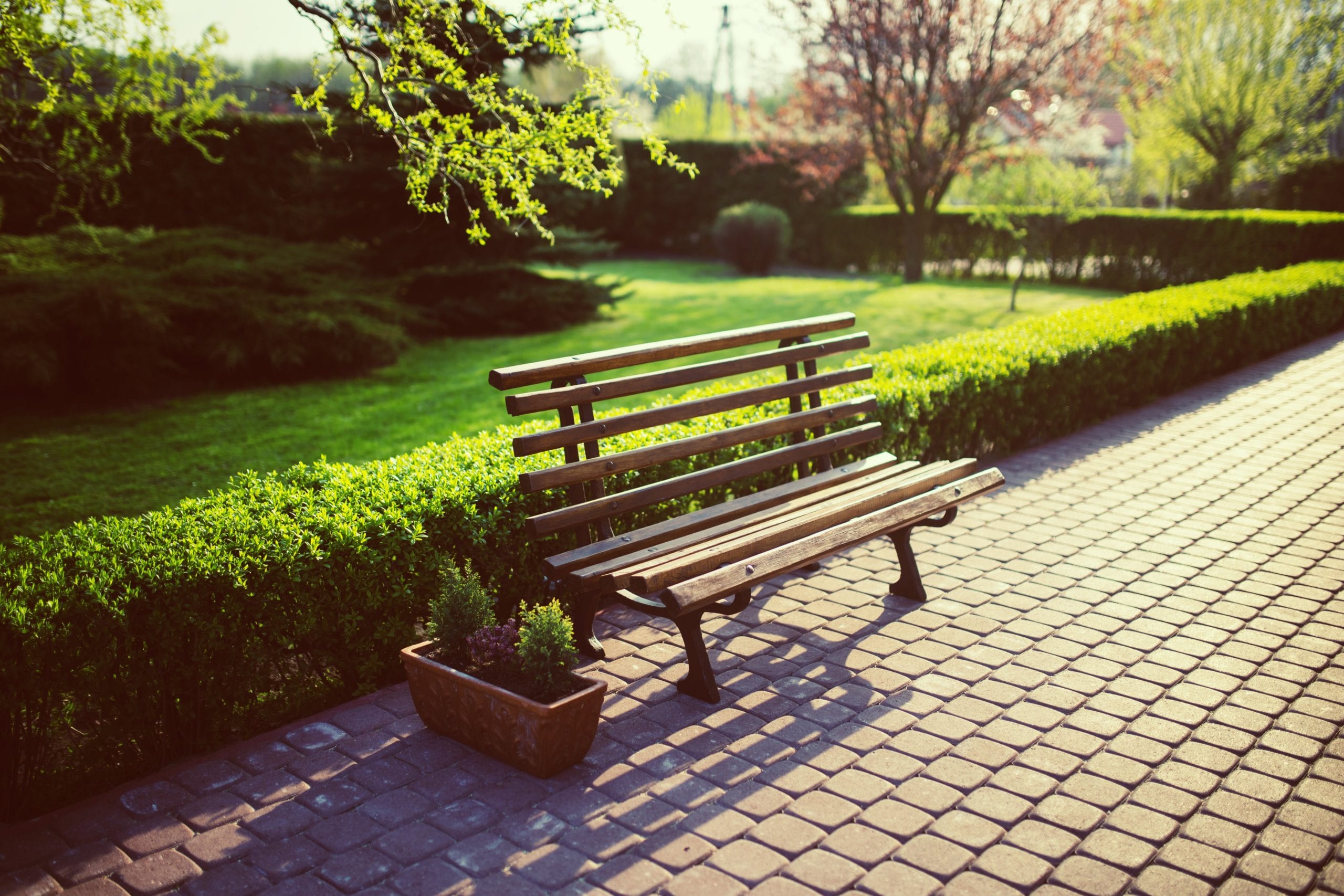 backyard-bench-flora-5760