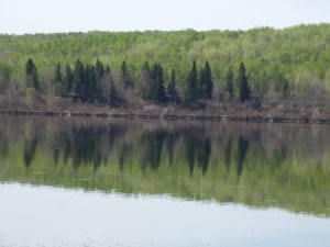 Stoney Lake reflection May 2021