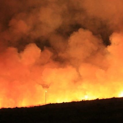 wildfire-4467084_640 wildfire-4467084_640